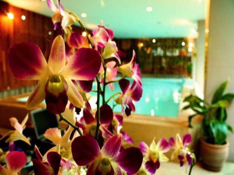 Thaphae Garden Guesthouse Chiang Mai Exterior foto